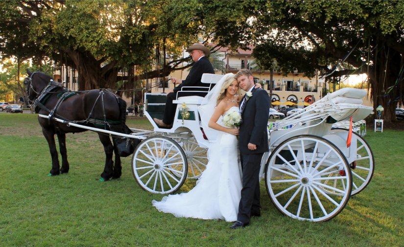 Карета с лошадьми на свадьбу