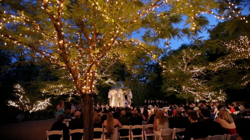Подсветка деревьев как освещение на свадьбе