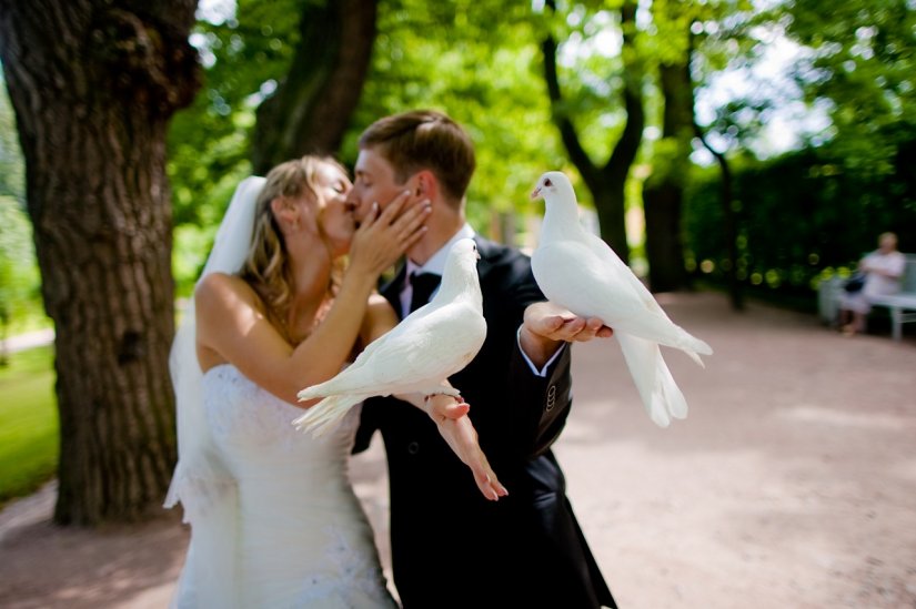 Пара выпускает голубей