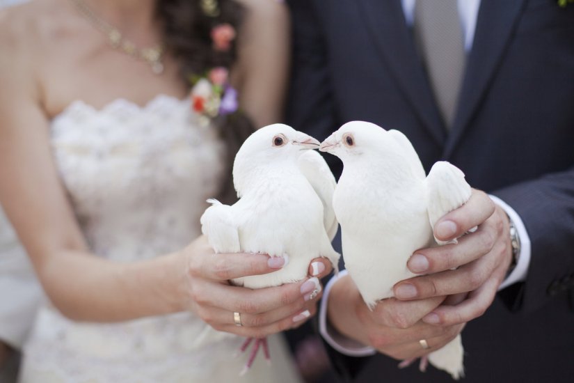 Жених и невеста выпускают голубей